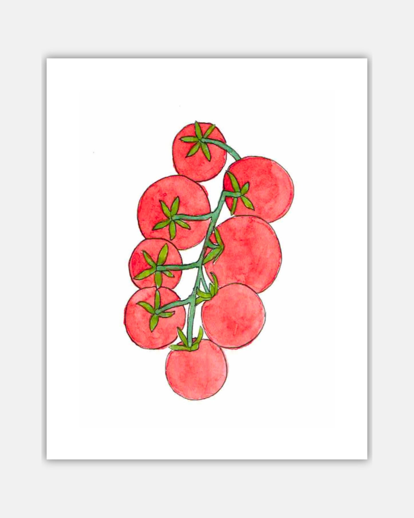 Pen & Ink Tomatoes