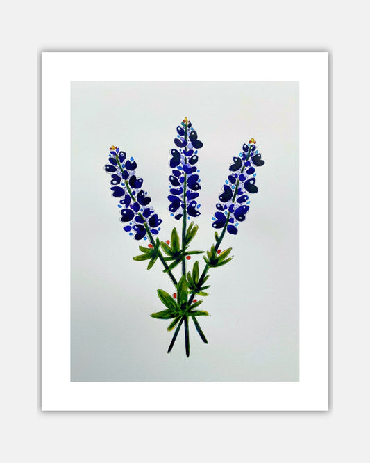 Bluebonnet Bundle